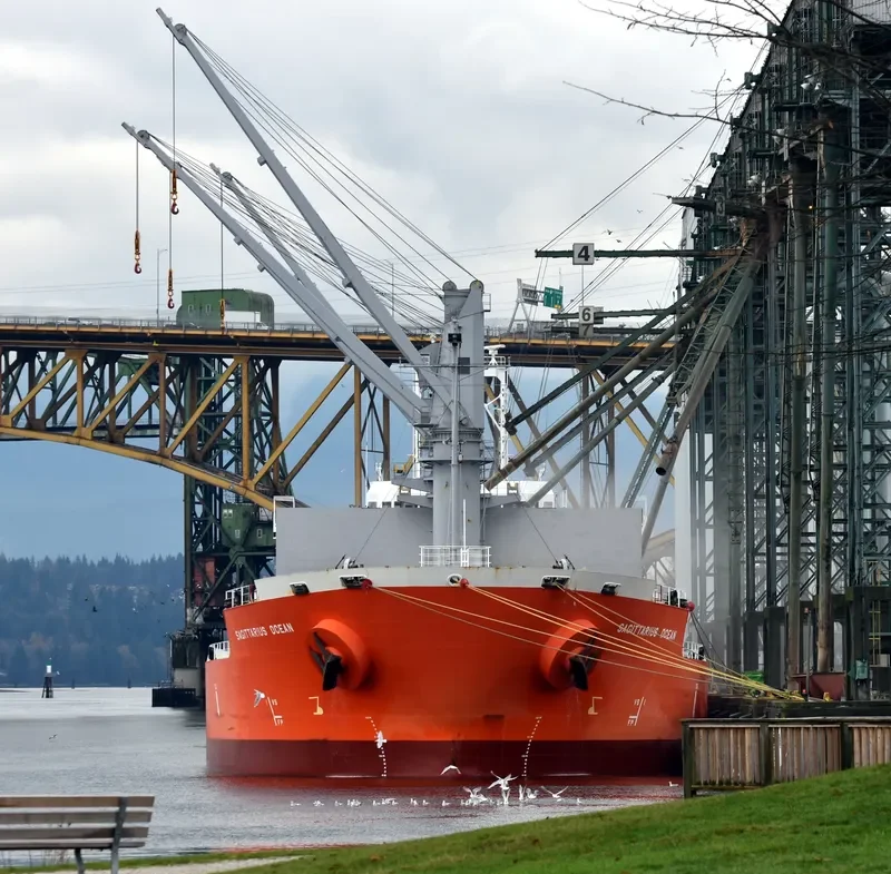 ES JUPITER Bulk Carrier IMO 9652325