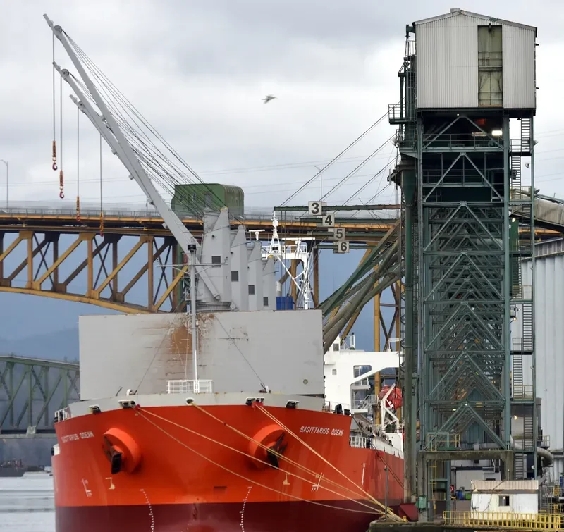 ES JUPITER Bulk Carrier IMO 9652325 photo 4