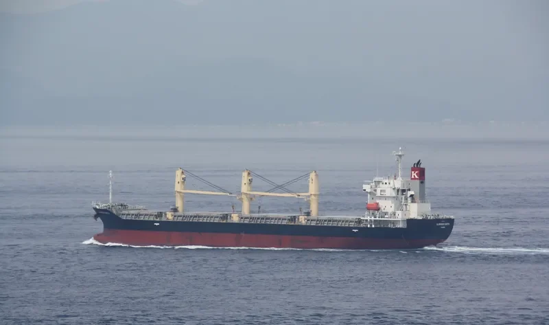 GLORIOUS EARTH Bulk Carrier IMO 9652375 photo 2