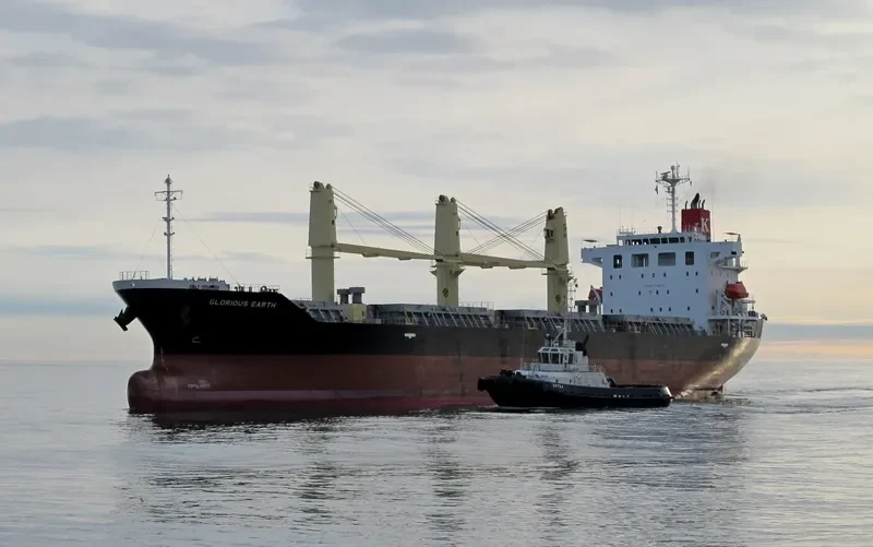 GLORIOUS EARTH Bulk Carrier IMO 9652375 photo 9