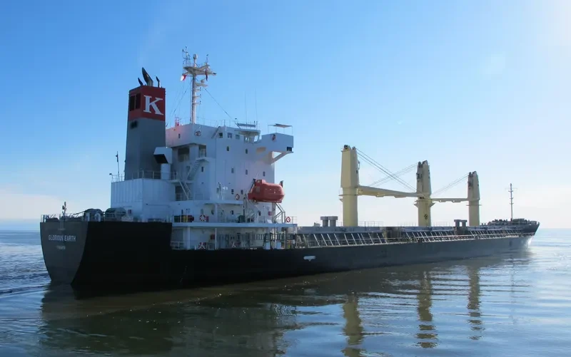 GLORIOUS EARTH Bulk Carrier IMO 9652375 photo 10