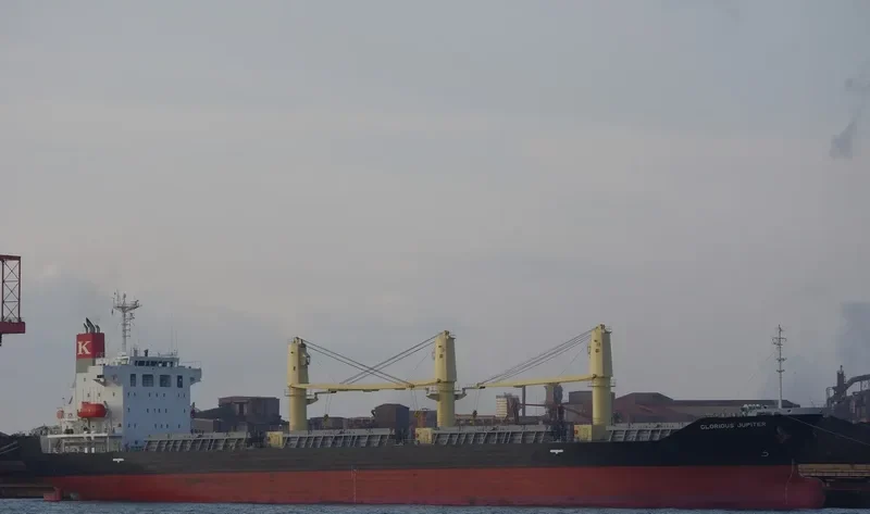 GLORIOUS JUPITER Bulk Carrier IMO 9652387 photo 6