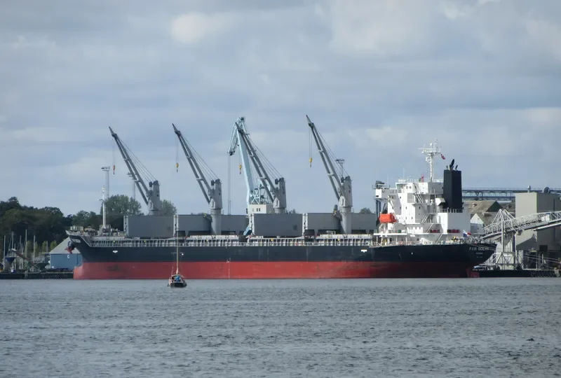 FAIR OCEAN Bulk Carrier IMO 9652480