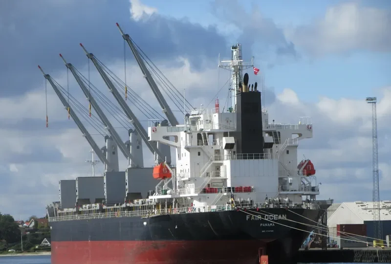 FAIR OCEAN Bulk Carrier IMO 9652480 photo 2