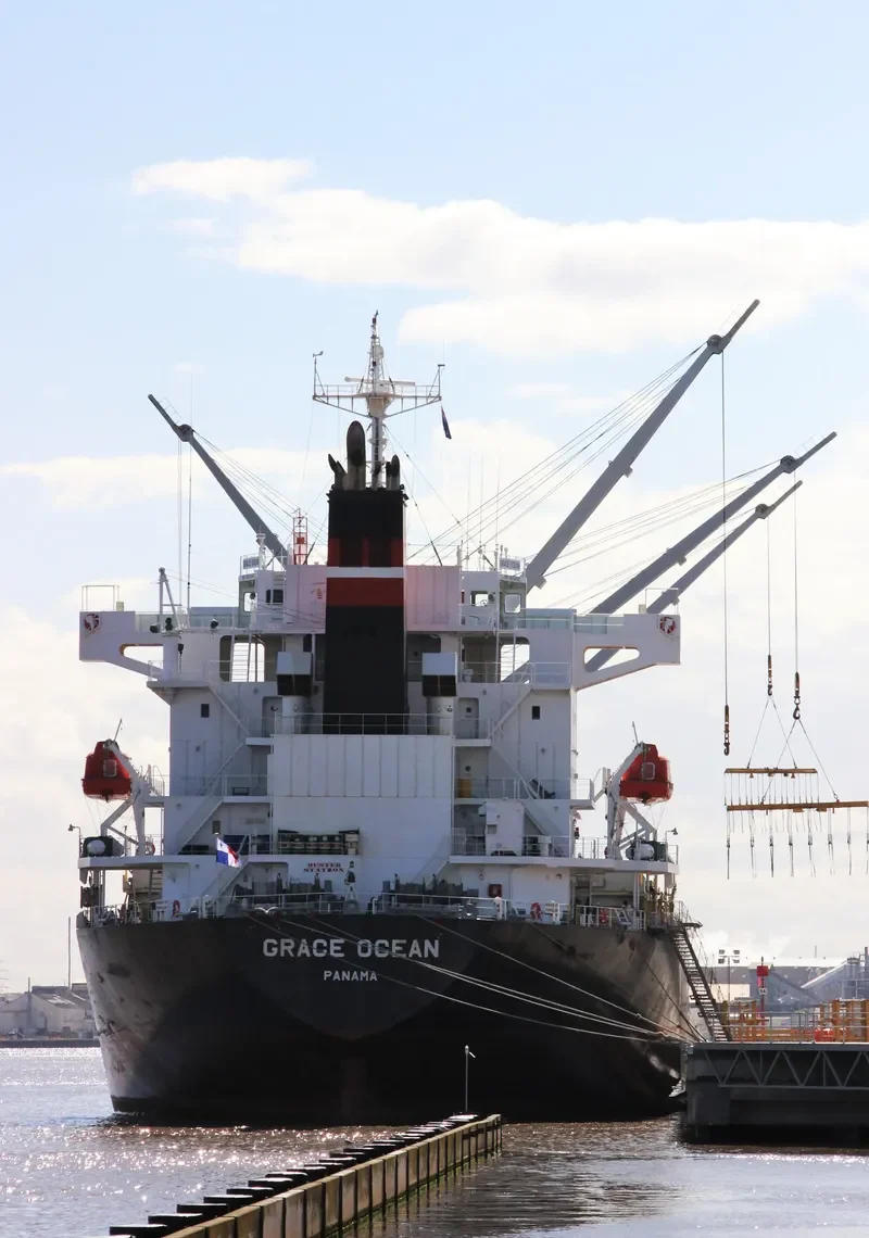 ECO WILDFIRE Bulk Carrier IMO 9652492