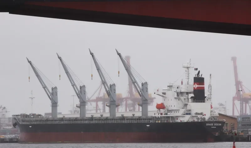 ECO WILDFIRE Bulk Carrier IMO 9652492 photo 2