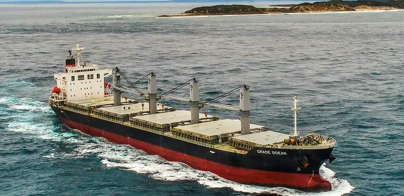 ECO WILDFIRE Bulk Carrier IMO 9652492 photo 3