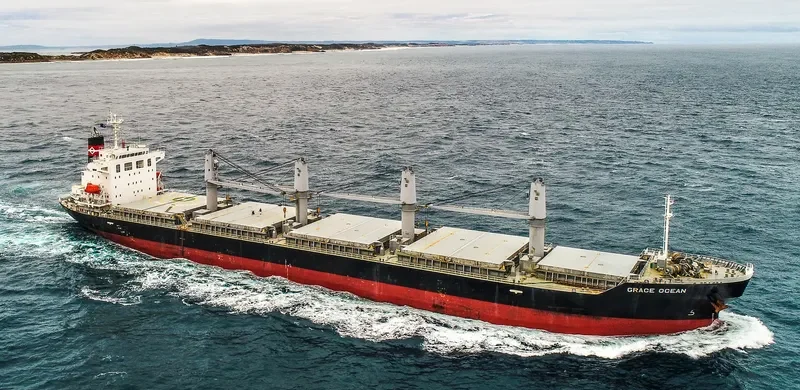 ECO WILDFIRE Bulk Carrier IMO 9652492 photo 4