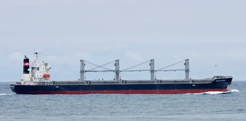 ECO WILDFIRE Bulk Carrier IMO 9652492 photo 5