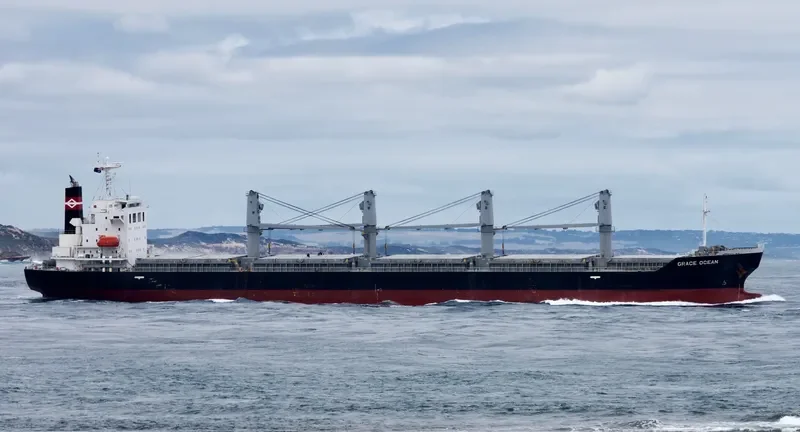 ECO WILDFIRE Bulk Carrier IMO 9652492 photo 6