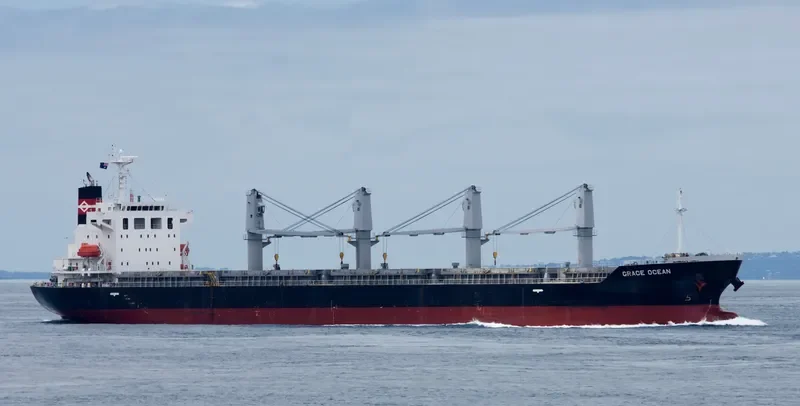 ECO WILDFIRE Bulk Carrier IMO 9652492 photo 7