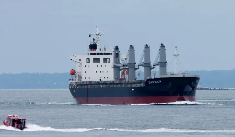 ECO WILDFIRE Bulk Carrier IMO 9652492 photo 8