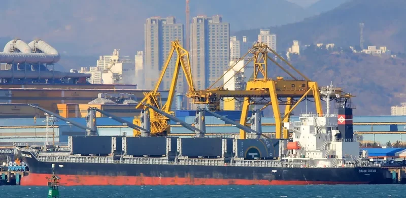ECO WILDFIRE Bulk Carrier IMO 9652492 photo 9