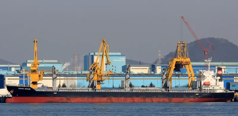 ECO WILDFIRE Bulk Carrier IMO 9652492 photo 10