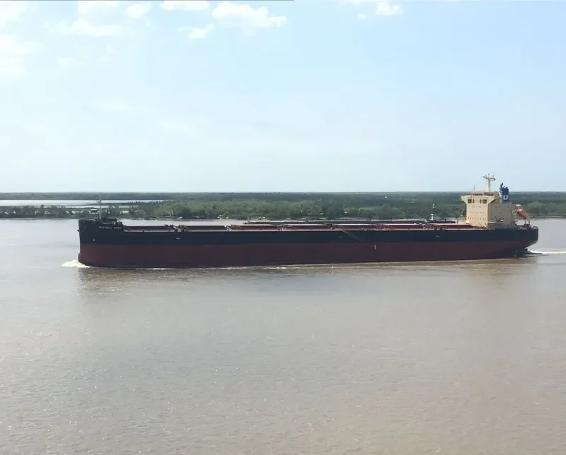SEAGULL WIND Bulk Carrier IMO 9652507