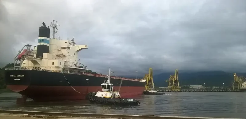 SANTA ADRIANA Bulk Carrier IMO 9652545