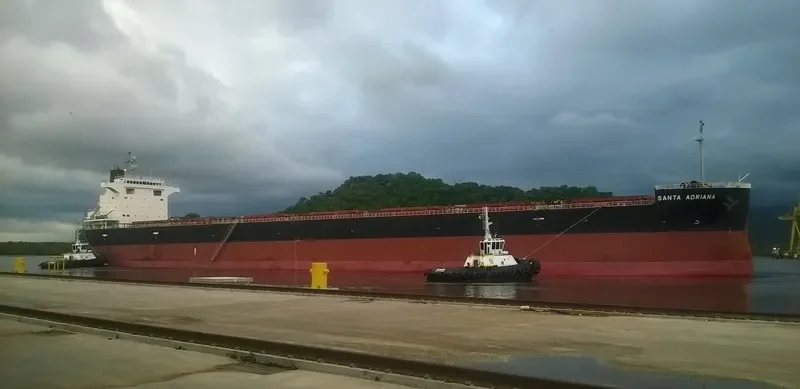 SANTA ADRIANA Bulk Carrier IMO 9652545 photo 2