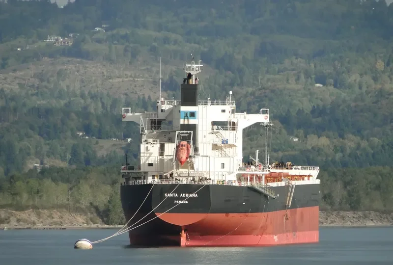 SANTA ADRIANA Bulk Carrier IMO 9652545 photo 3