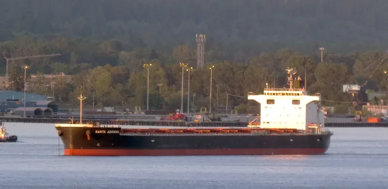 SANTA ADRIANA Bulk Carrier IMO 9652545 photo 5