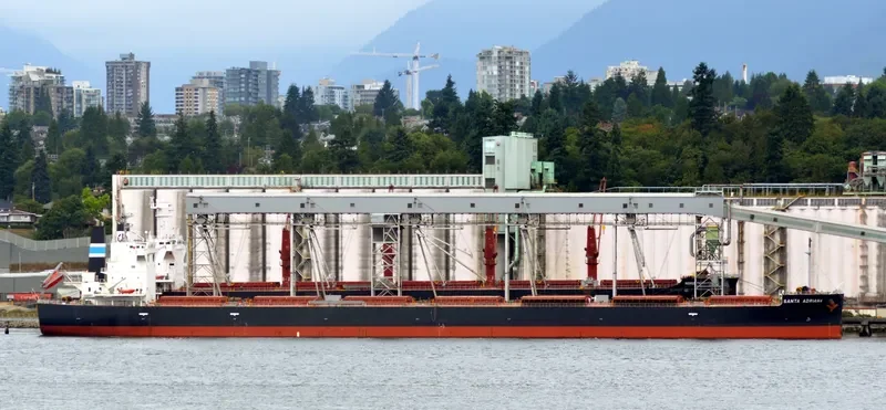 SANTA ADRIANA Bulk Carrier IMO 9652545 photo 6