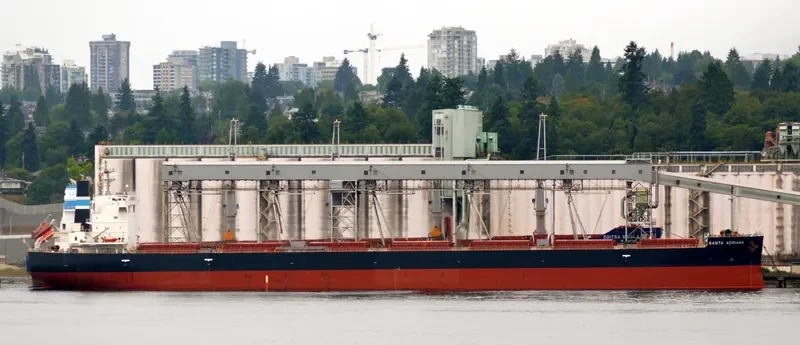 SANTA ADRIANA Bulk Carrier IMO 9652545 photo 7