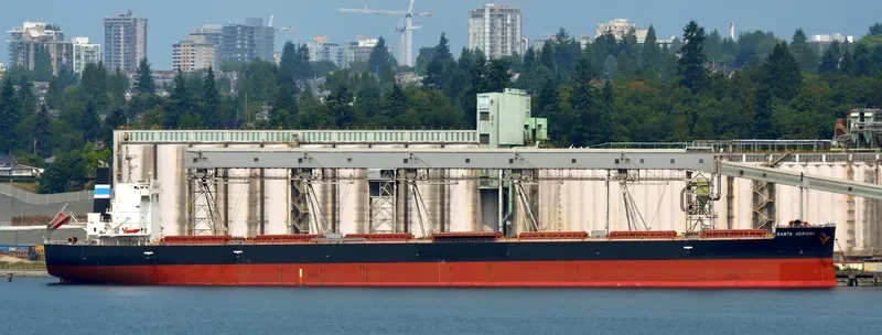 SANTA ADRIANA Bulk Carrier IMO 9652545 photo 8