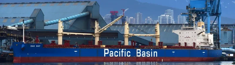 OAK BAY Bulk Carrier IMO 9652557