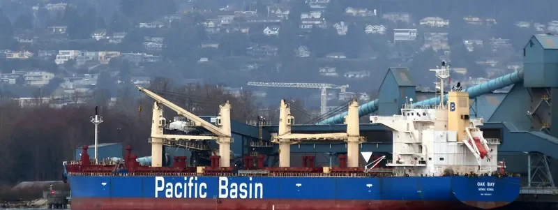 OAK BAY Bulk Carrier IMO 9652557 photo 2