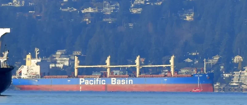 OAK BAY Bulk Carrier IMO 9652557 photo 3