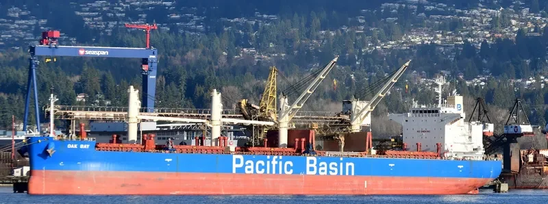 OAK BAY Bulk Carrier IMO 9652557 photo 4