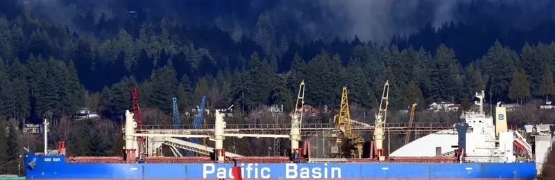 OAK BAY Bulk Carrier IMO 9652557 photo 5