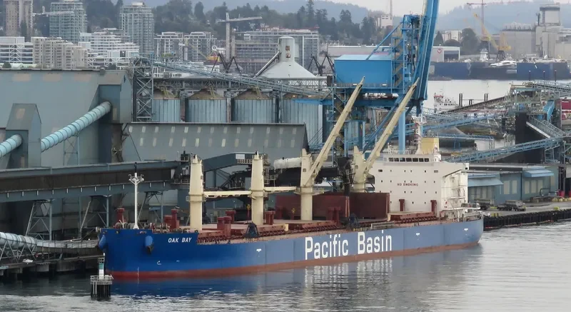 OAK BAY Bulk Carrier IMO 9652557 photo 7