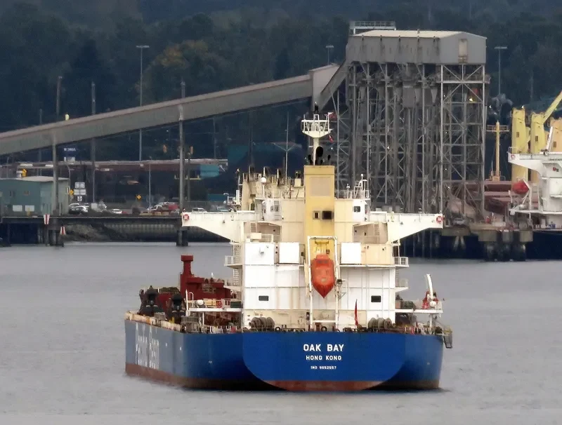 OAK BAY Bulk Carrier IMO 9652557 photo 8