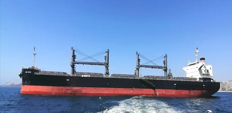 NEW ABLE General Cargo IMO 9652569 photo 3