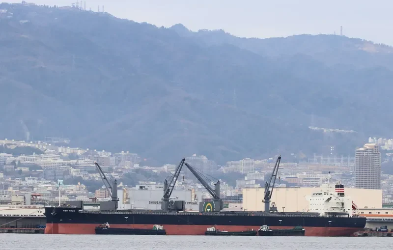 NEW ABLE General Cargo IMO 9652569 photo 4