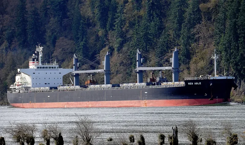 NEW ABLE General Cargo IMO 9652569 photo 6
