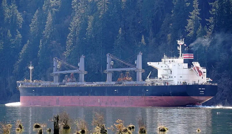NEW ABLE General Cargo IMO 9652569 photo 7