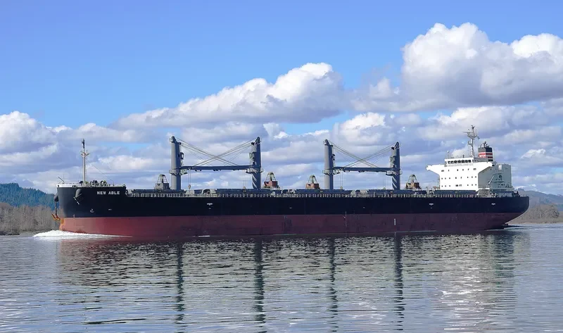 NEW ABLE General Cargo IMO 9652569 photo 9