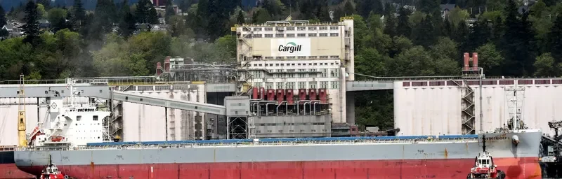 BBG YULIN Bulk Carrier IMO 9652571 photo 4