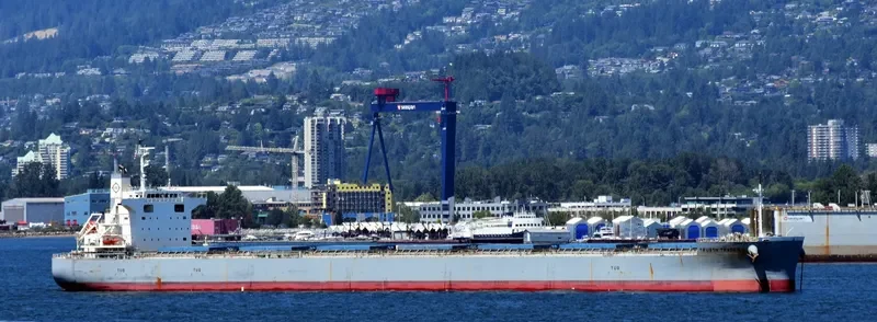 BBG YULIN Bulk Carrier IMO 9652571 photo 6