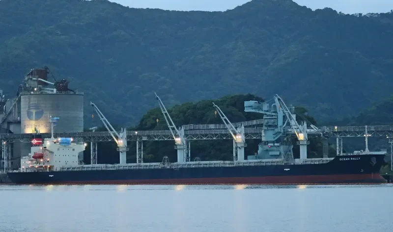 OCEAN RALLY Bulk Carrier IMO 9652600