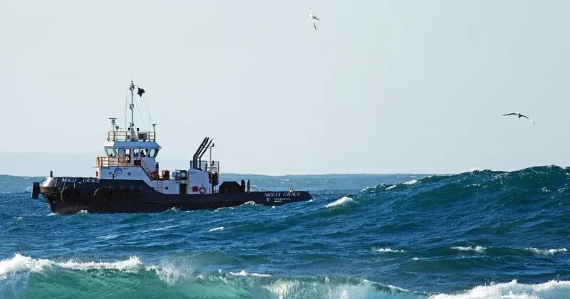 MOLLY GRACE General Cargo IMO 9652870 photo 5