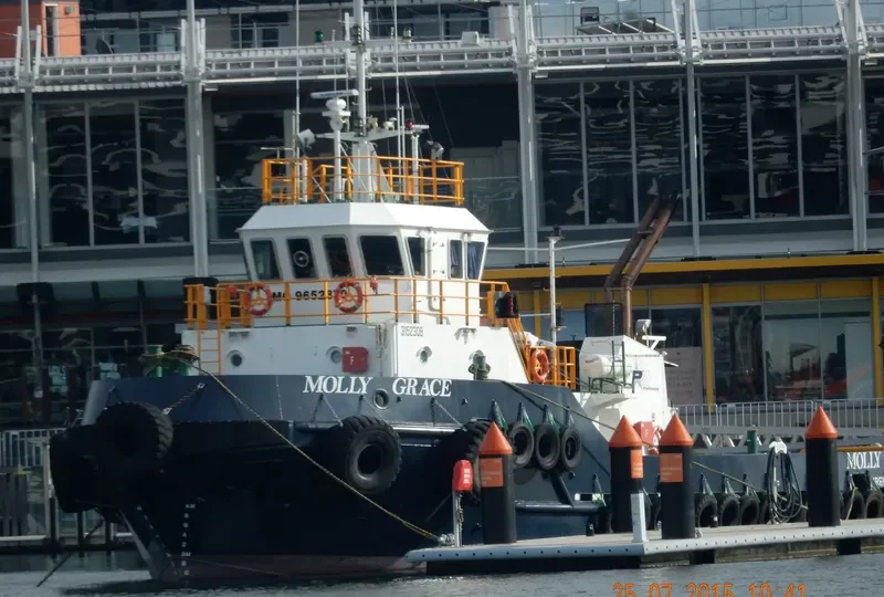 MOLLY GRACE General Cargo IMO 9652870 photo 9