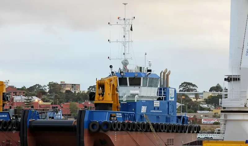 BHAGWAN ABROLHOS General Cargo IMO 9653173