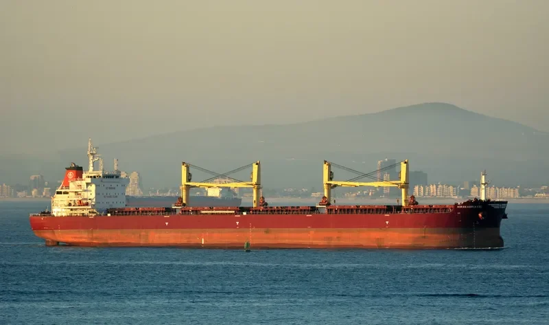 KIRAN ADRIATIC Bulk Carrier IMO 9653185 photo 3