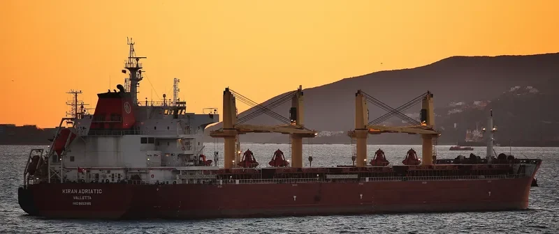 KIRAN ADRIATIC Bulk Carrier IMO 9653185 photo 4