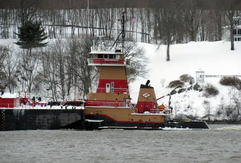 DEAN REINAUER General Cargo IMO 9653264 photo 5