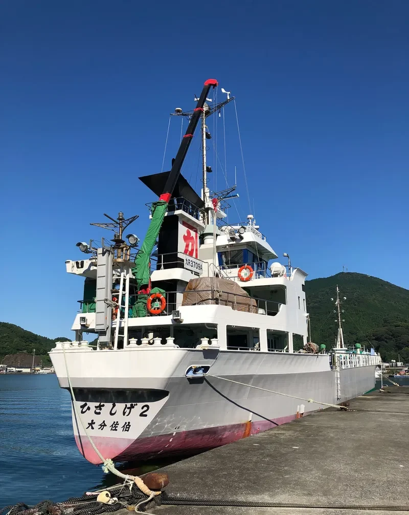 HISASHIGE 2 General Cargo IMO 9653329 photo 6