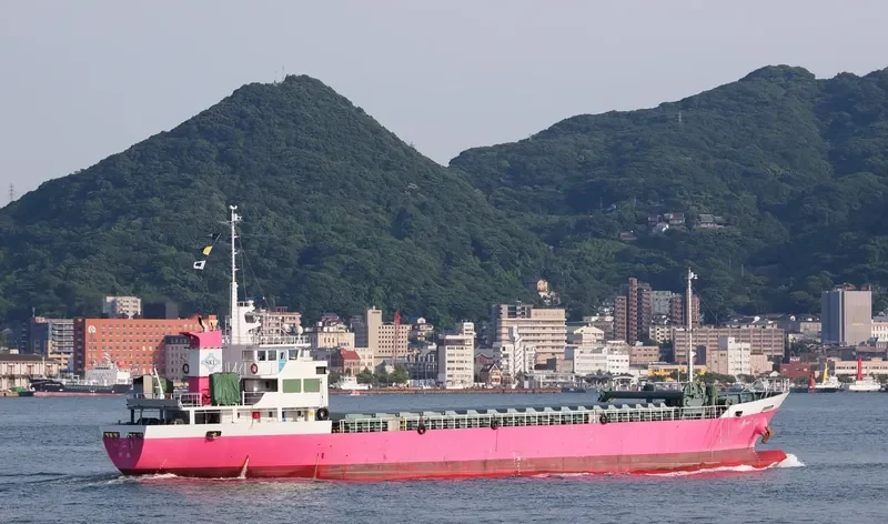IBUKI General Cargo IMO 9653393 photo 7