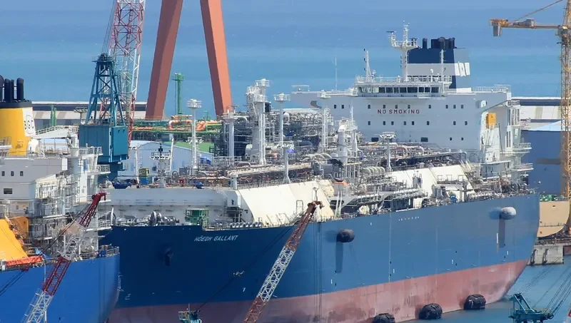 HOEGH GALLANT General Cargo IMO 9653678
